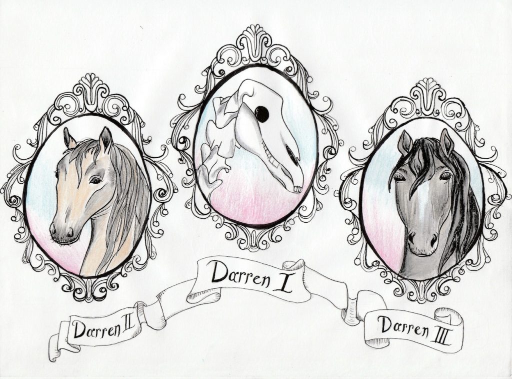 A drawing of the three Darren horses, showing their heads in elaborate oval frames. Darren I is in the middle as a skull and the other Darrens are either side looking majestic.